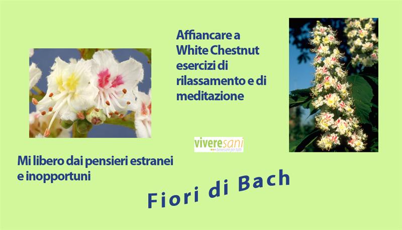Fiori di Bach: White Chestnut